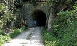 hier fährt die Parenzana u nter der Straße nach Motovun durch einen Tunnel